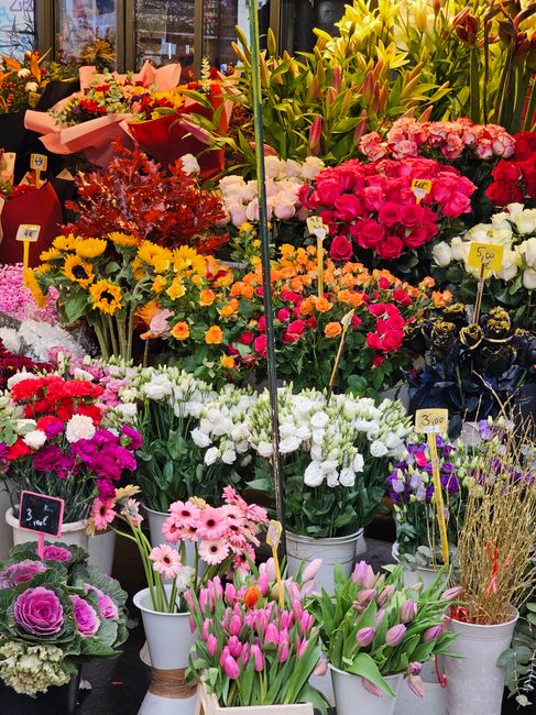 An abundant display of fresh flowers at a florist shop, featuring vibrant pink roses, purple and white tulips, yellow and orange daisies, and various mixed bouquets wrapped in pink and red paper. The